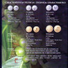 Timor-Leste 2003 Série Anual Primeiras moedas Correntes